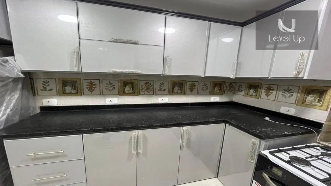 Luxury Apartment in Auc