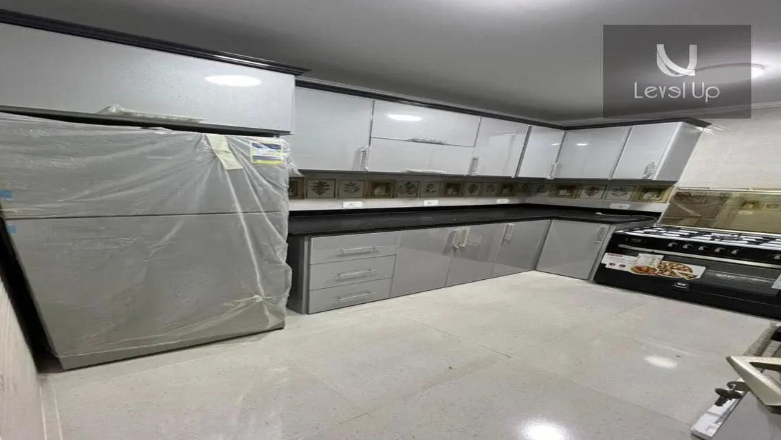 Luxury Apartment in Auc