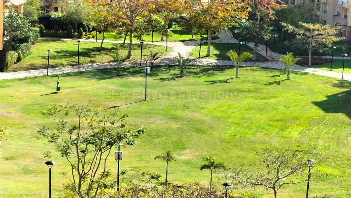 Luxury Apartment in the Heart of the City