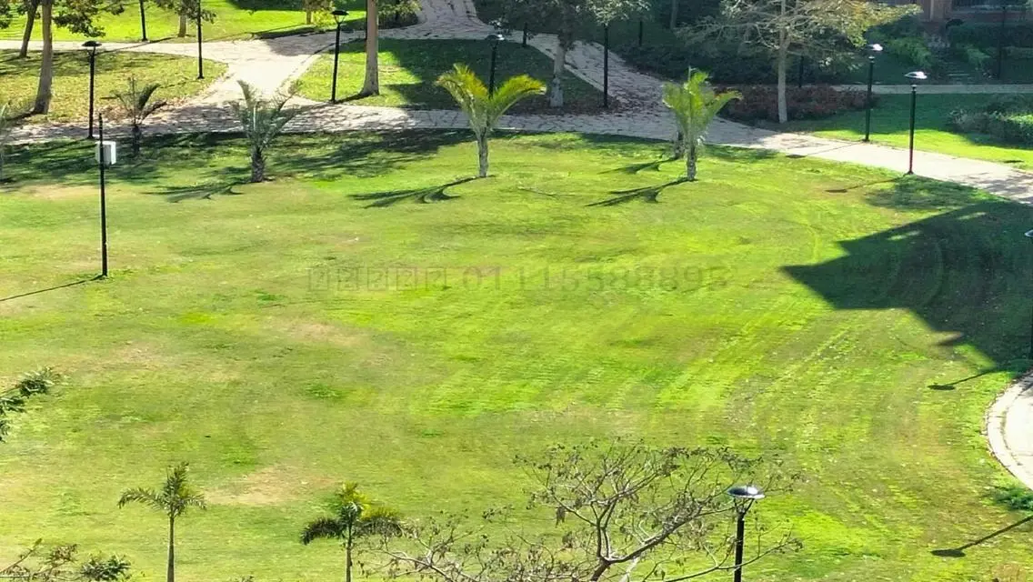 Luxury Apartment in the Heart of the City