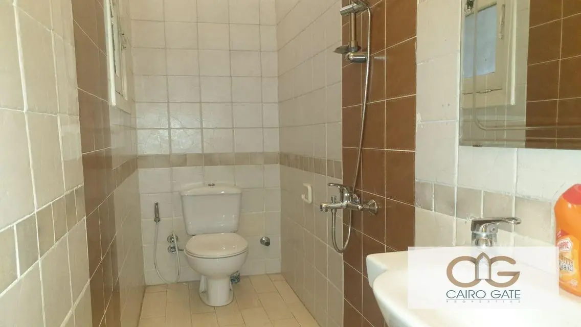 High-Ceiling Furnished Apartment in Zamalek