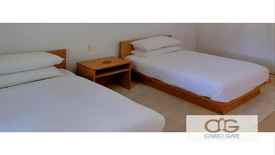 Modern Furnished Apartment for Sale in Zamalek South