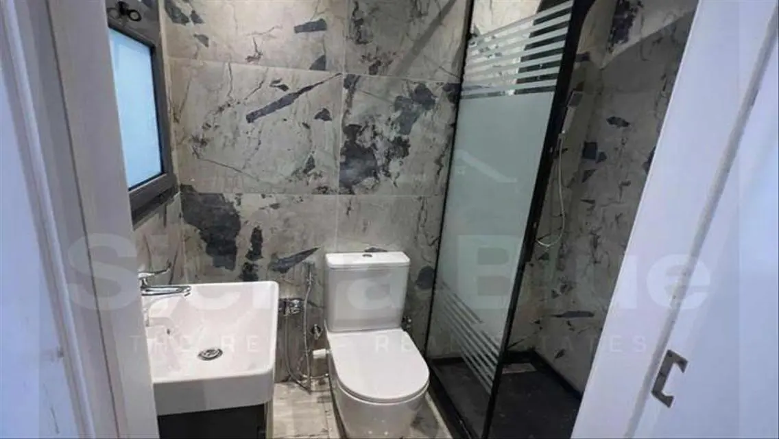 Luxury Apartment for Rent - 55000 EGP