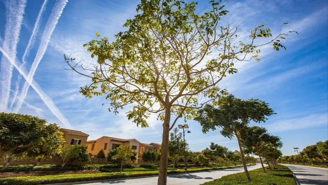 Luxury Villa for Sale with Spacious Layout