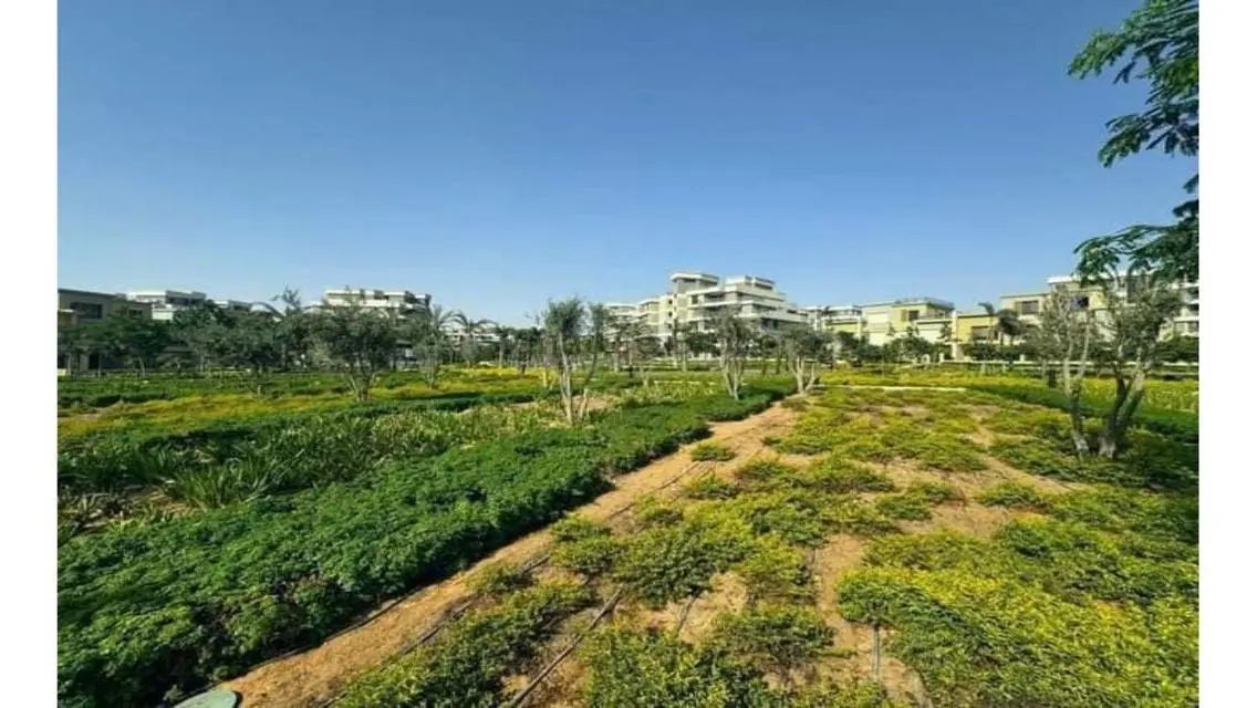 Luxury Apartment for Sale in Area 263