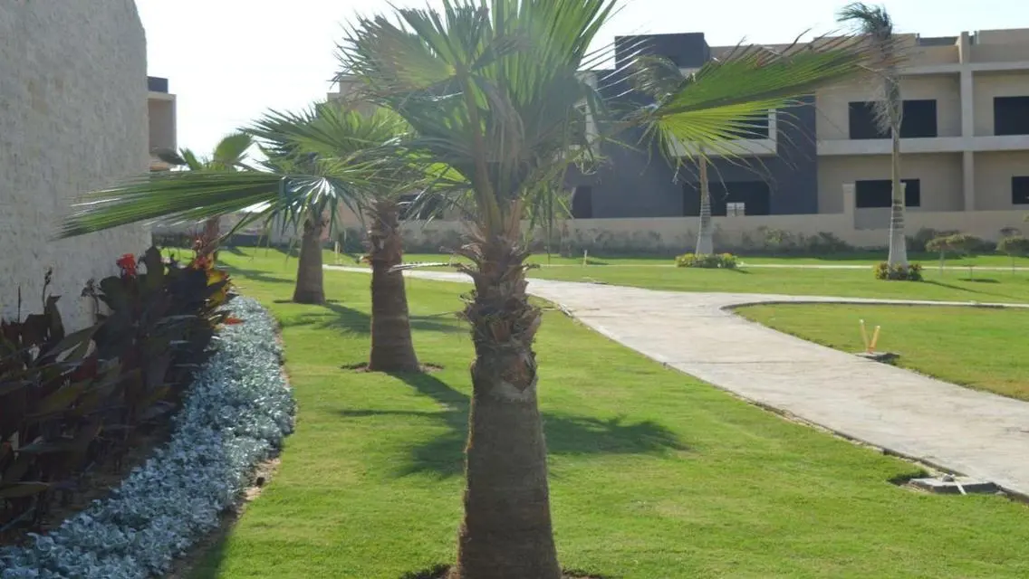 Luxurious Apartment in a Prime Location at a Great Price