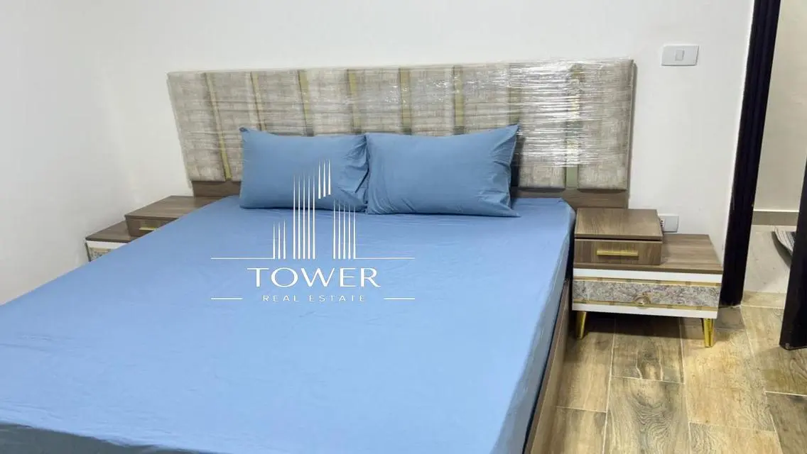 Ultra-modern Furnished Apartment for Rent in Janna Zayed 2