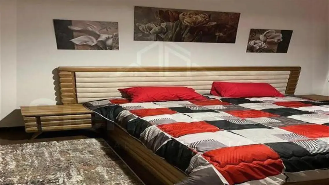 Luxury Apartment for Rent with All Amenities