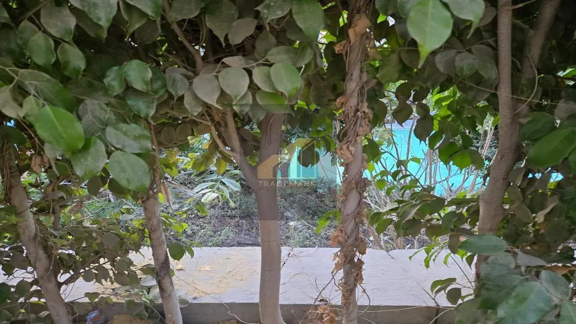 شقة فاخرة بإطلالة رائعة