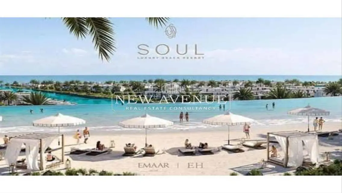 Luxurious Apartment in Soul Heights