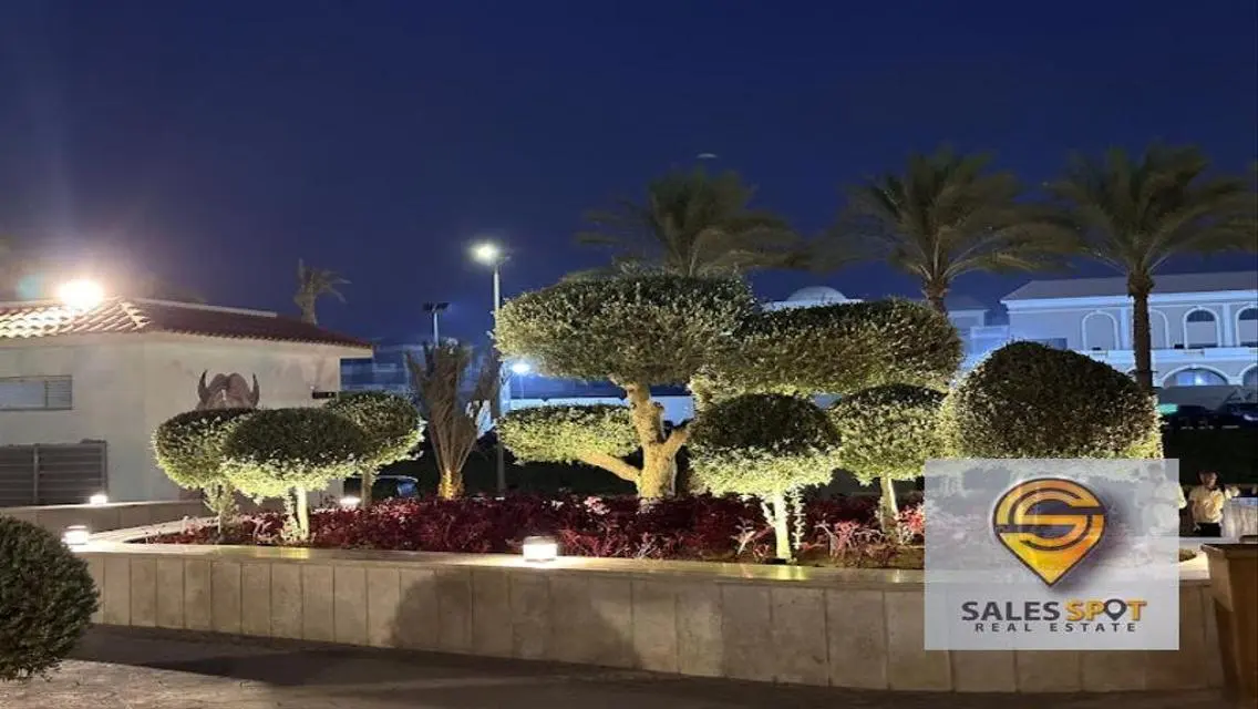 استوديو في لافيستا هايد بارك