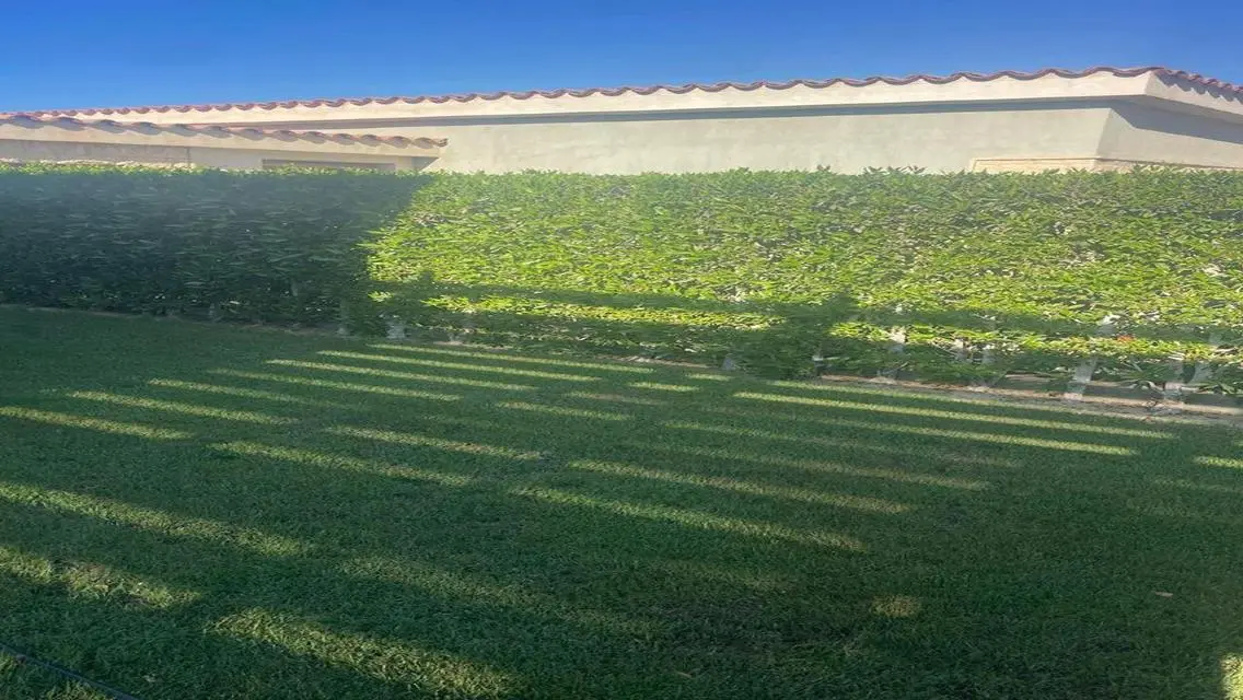 Corner Twin House for Sale with Stunning Sea View in Caesar Sodic
