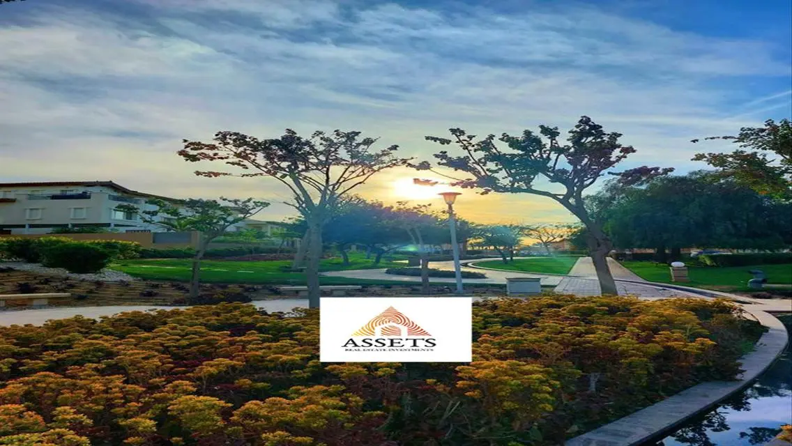 Premium Real Estate Investment with Stunning View
