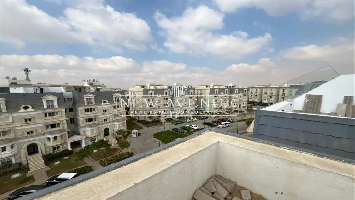 Luxury Apartment with Modern Amenities
