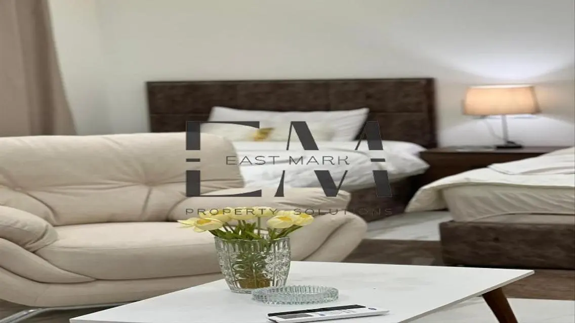 Luxurious Service Apartment - 11 - 3300 EGP Monthly