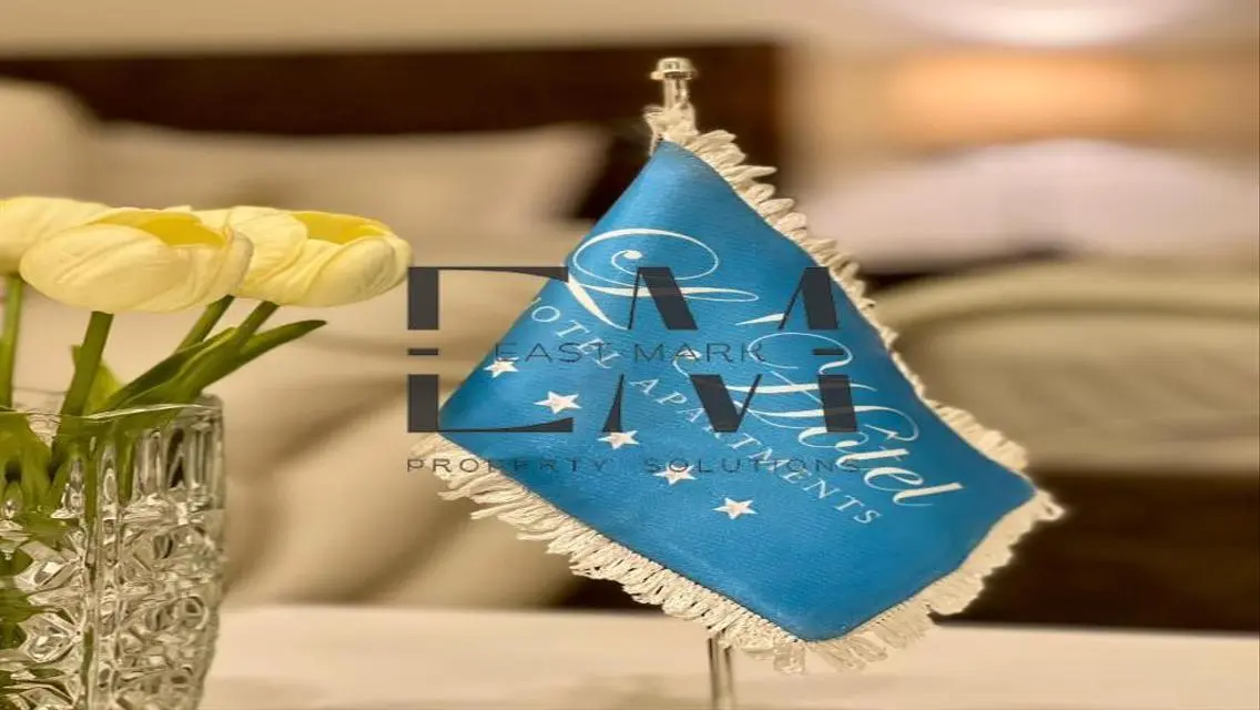 Luxurious Service Apartment - 11 - 3300 EGP Monthly