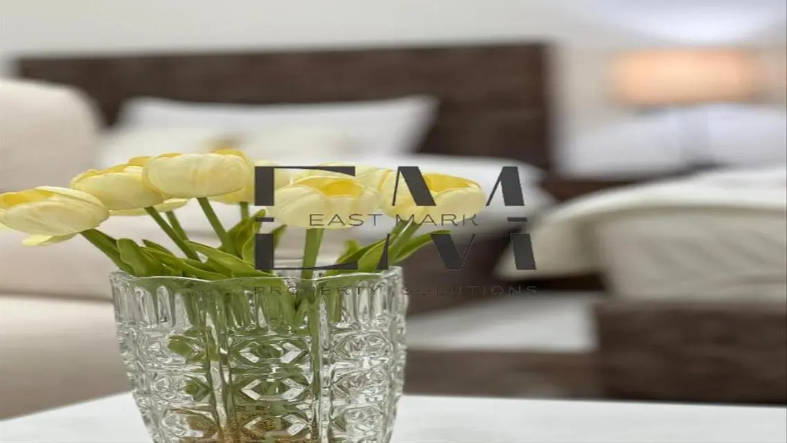 Luxurious Service Apartment - 11 - 3300 EGP Monthly