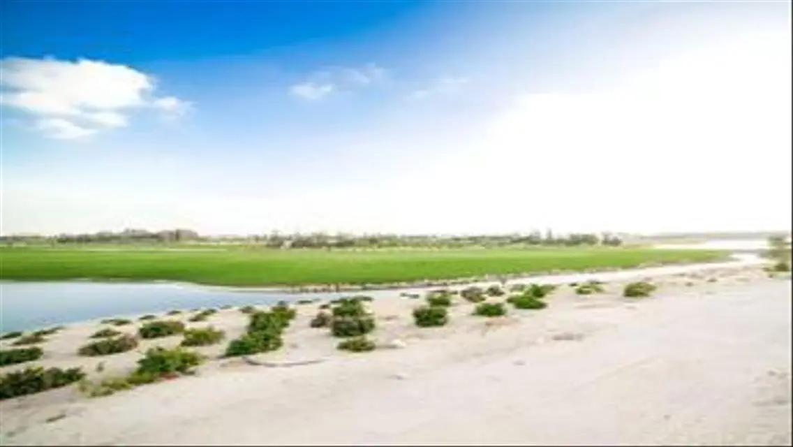 شقة فاخرة في The Address