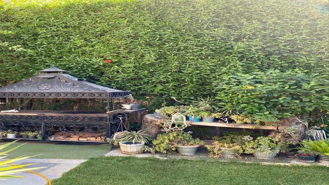 Luxury Villa for Sale with Private Garden and Pool