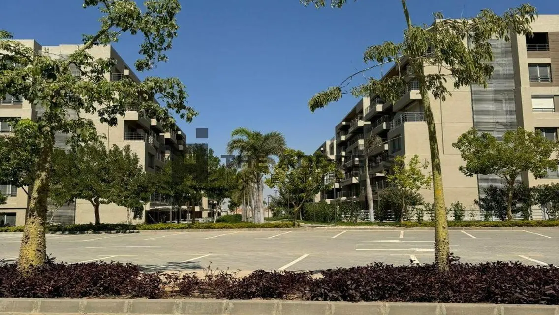 Luxury and Comfort in Palm Hills