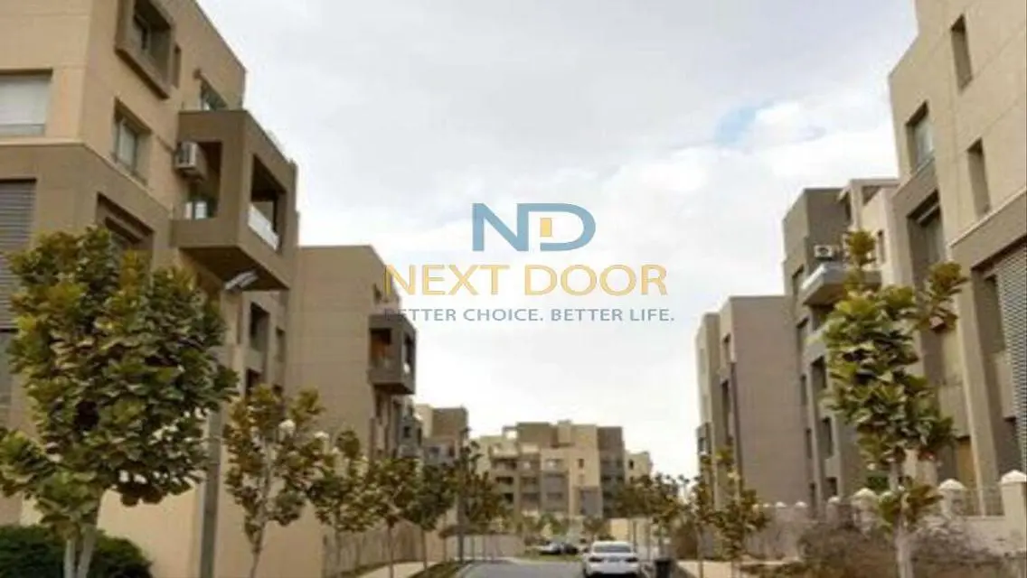 Stunning Apartment for Rent in AUC
