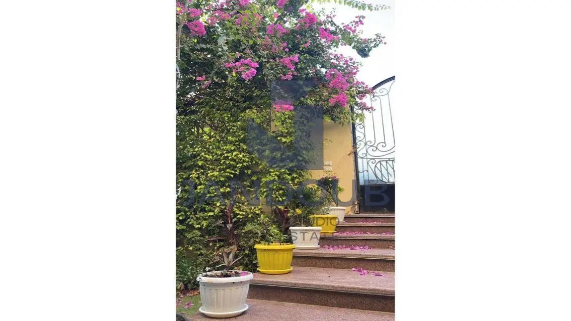 Premium Apartment for Rent with Balcony and Security Guard