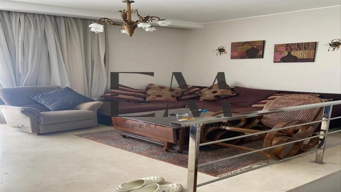 Luxurious Apartment of 203 Meters in the Heart of the City