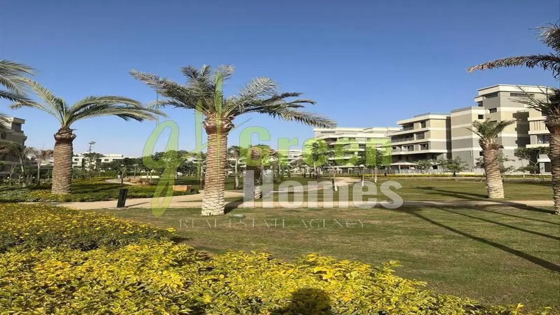 Luxury Green Home for Sale Near The Park