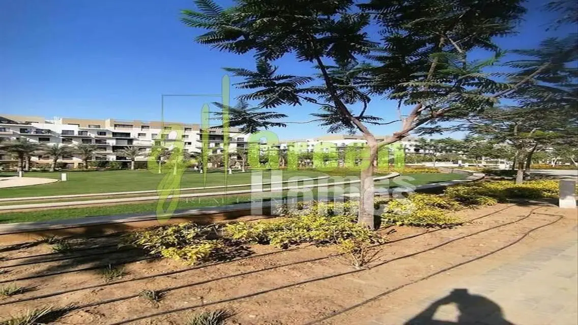 Stunning Green Home with Maid's Room and Excellent Amenities