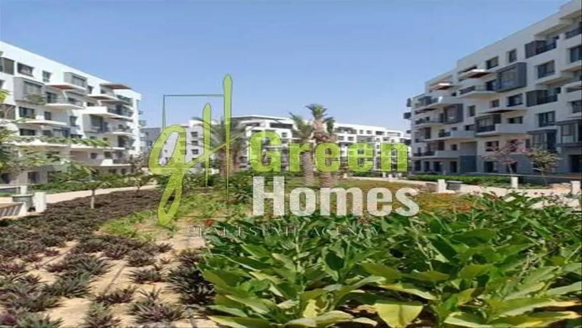 Luxurious Apartment with Spacious Area in Cairo's Elite Neighborhood