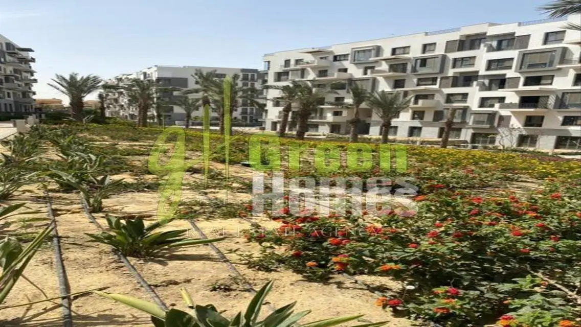 Luxurious Apartment with Spacious Area in Cairo's Elite Neighborhood
