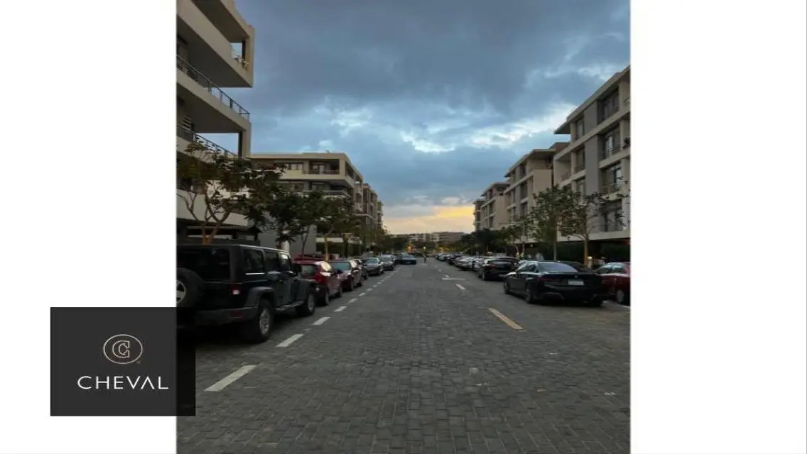 Stunning Apartment for Rent with Lake View