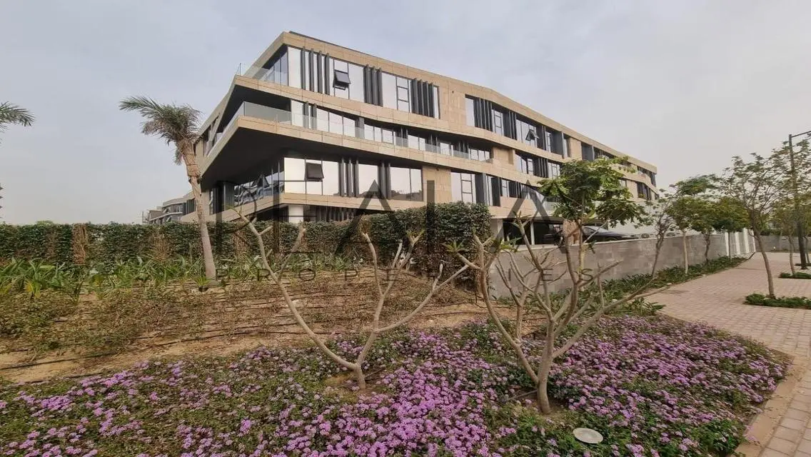 Polygon Xtensio Project - Exceptional Investment Opportunity