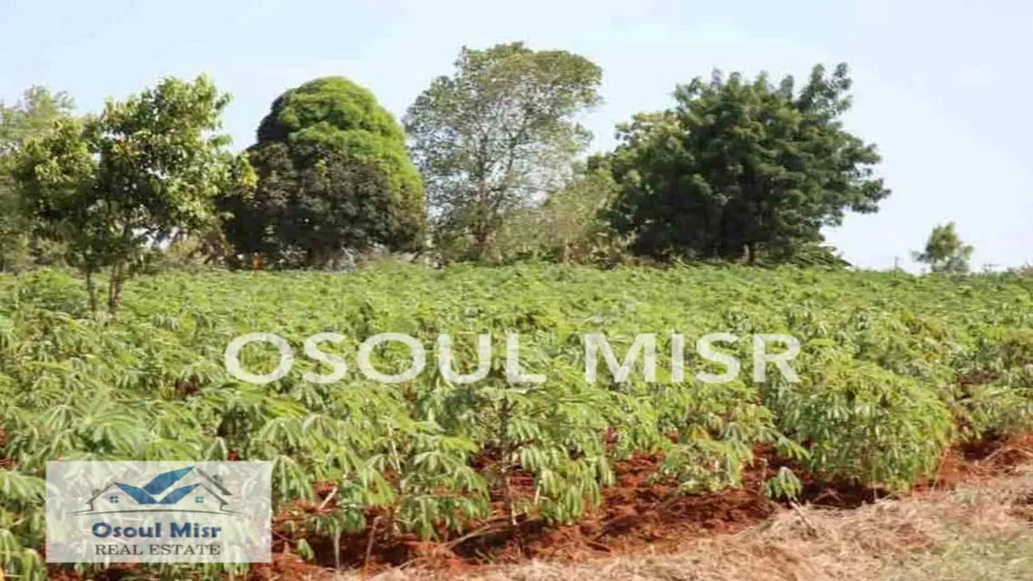 Exceptional Investment Opportunity - 70 Square Meters