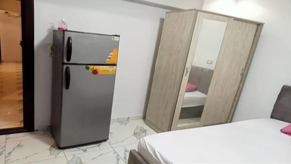 Luxury Apartment for Rent - 4500 EGP
