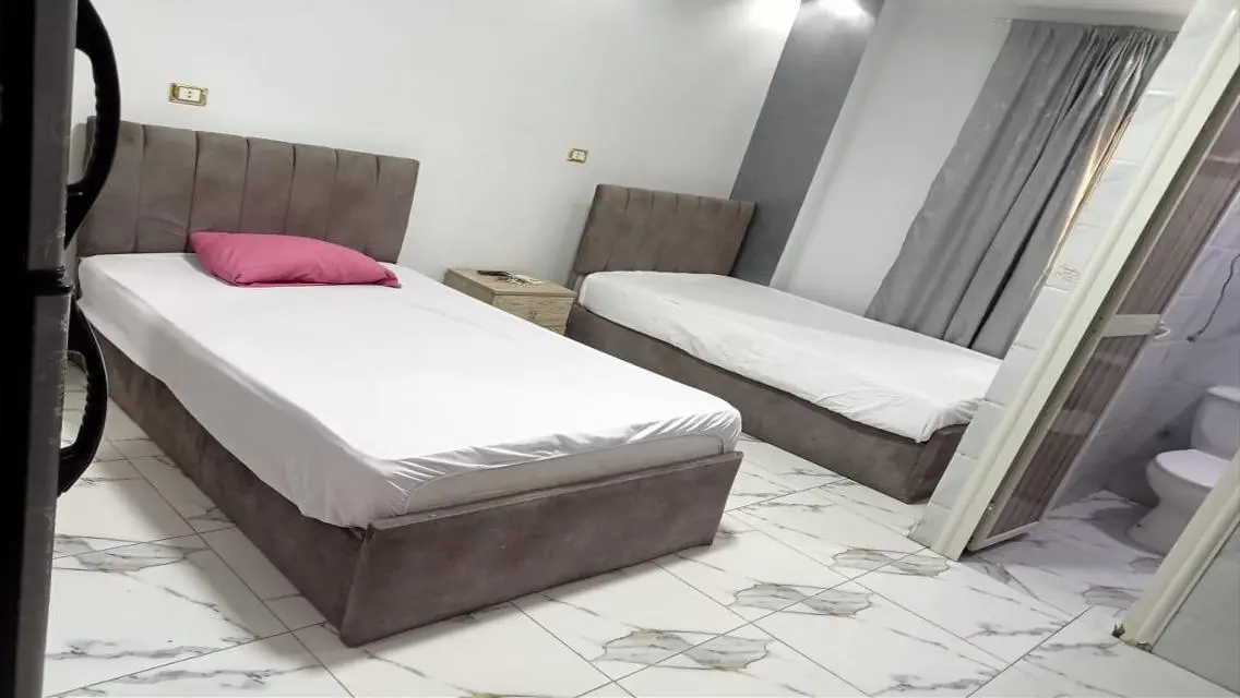 Luxury Apartment for Rent - 4500 EGP
