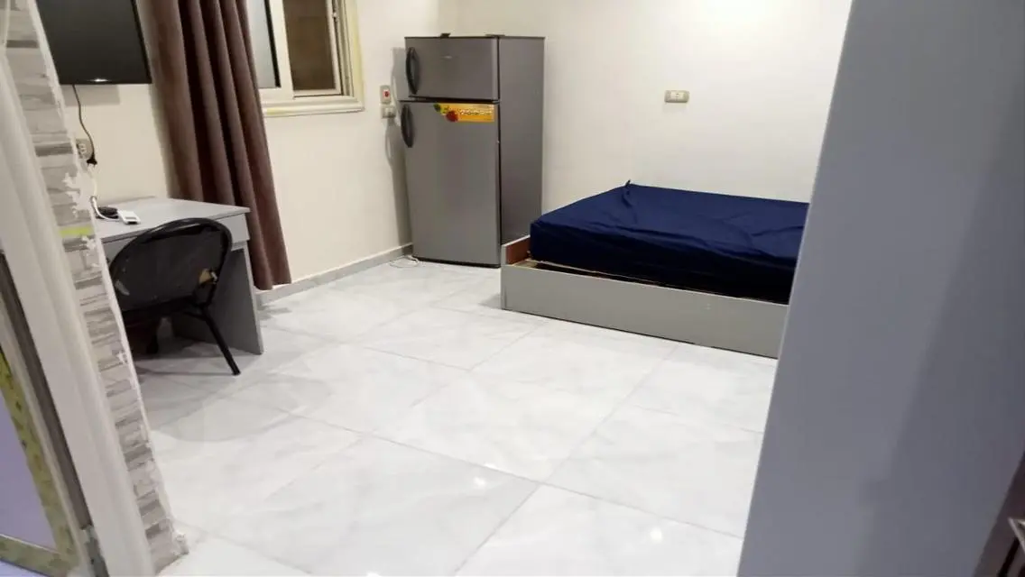 Luxury Apartment for Rent - 4500 EGP