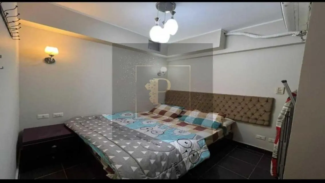 Luxury Apartment Overlooking Lakes in the Heart of the City