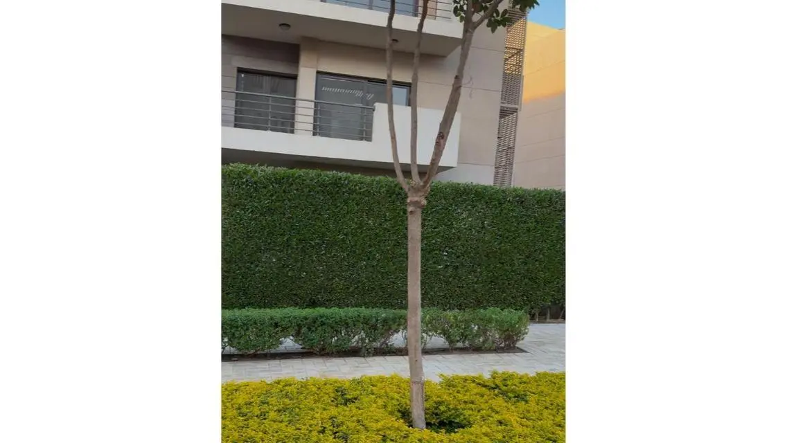 Luxury Apartment for Sale in a Prime Location
