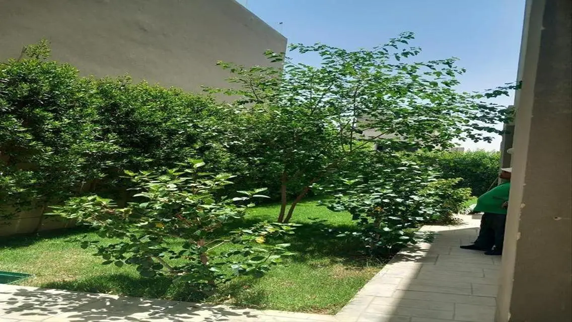 شقة فاخرة للبيع بمساحة 2500 متر
