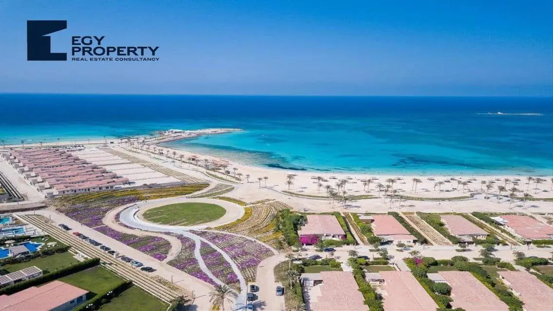 Investment Opportunity in Sodic June