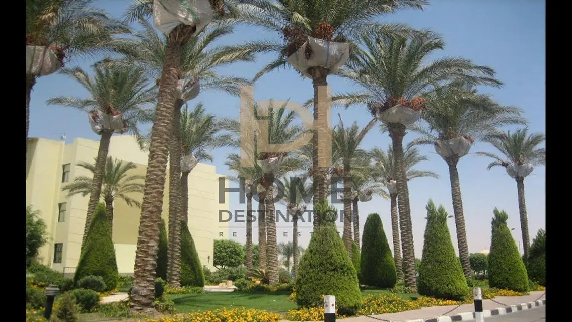 Luxury Apartment in the Heart of Sunny City