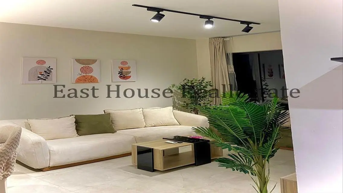 Luxury Apartment with Amazing Features