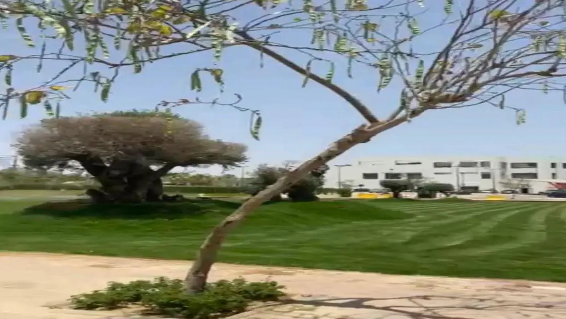 عقار مميز للبيع بمساحة شاسعة في موقع ممتاز