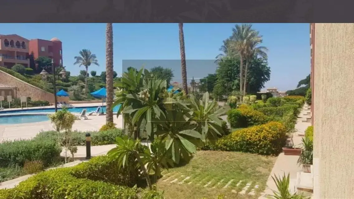 Luxury 2-Bedroom Apartment at an Amazing Price
