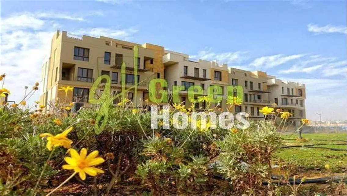 Luxury Apartment in AUC with Modern Design