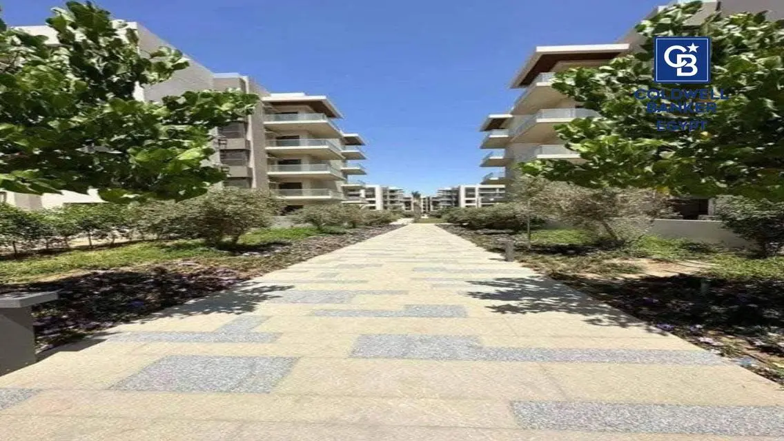 Investment Property in the Heart of Orchard Park