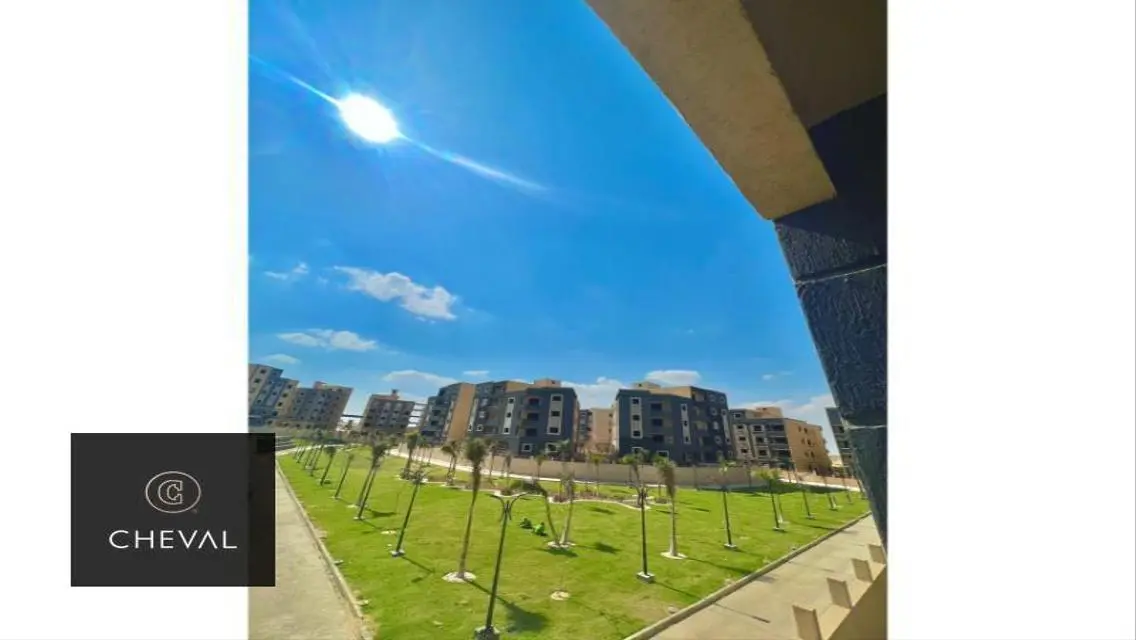 Luxury Apartment in AUC