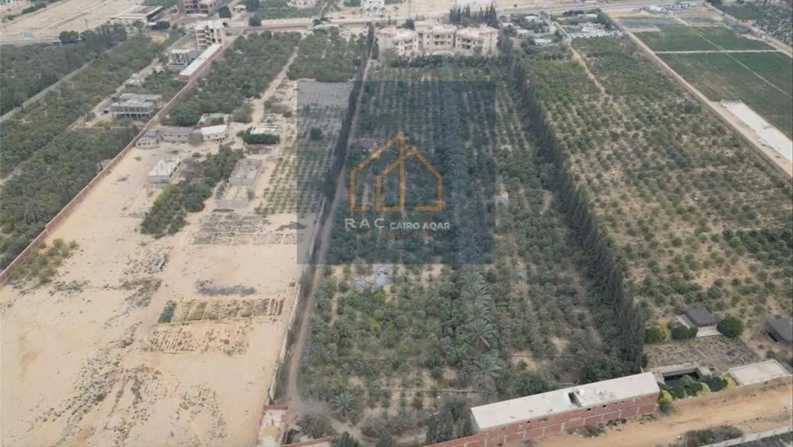 Luxury Villa for Sale with 1040 Sqm Space