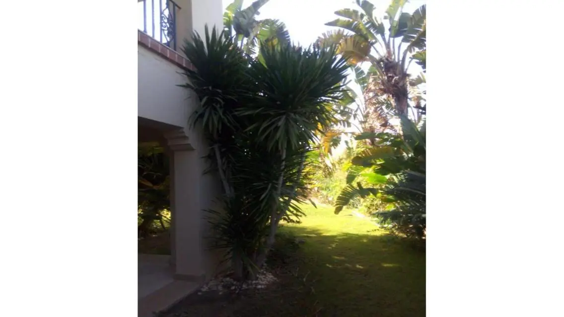 Luxurious Apartment with Spacious Areas at Attractive Prices